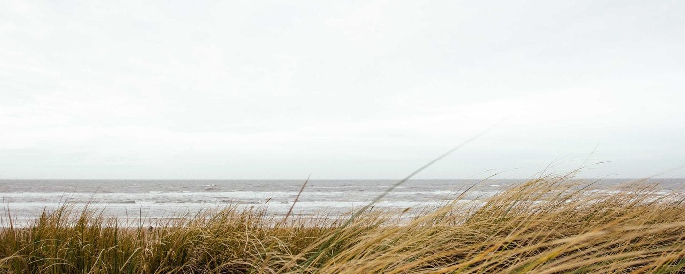 Funeral Homes in Plano, Texas: Services, Costs & Reviews (2026) hero image