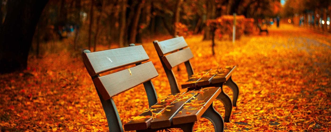 Funeral Homes in Plant City, Florida: Services, Costs & Reviews (2026) hero image