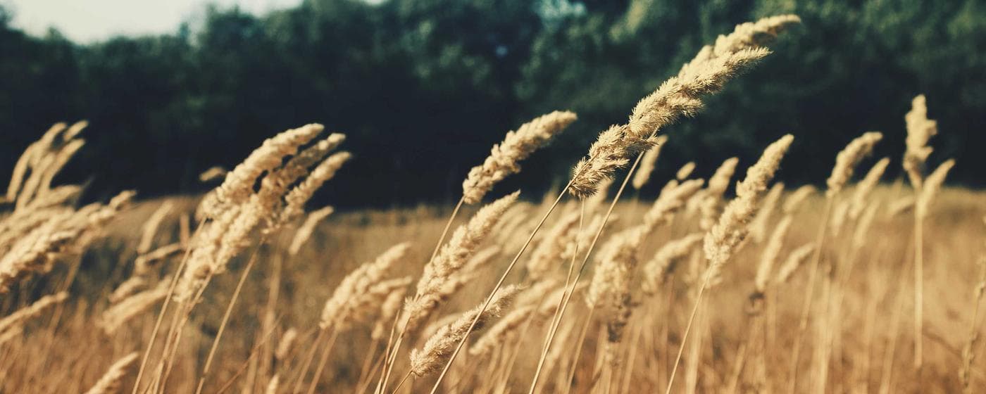 Funeral Homes in Punta Gorda, Florida: Services, Costs & Reviews (2026) hero image