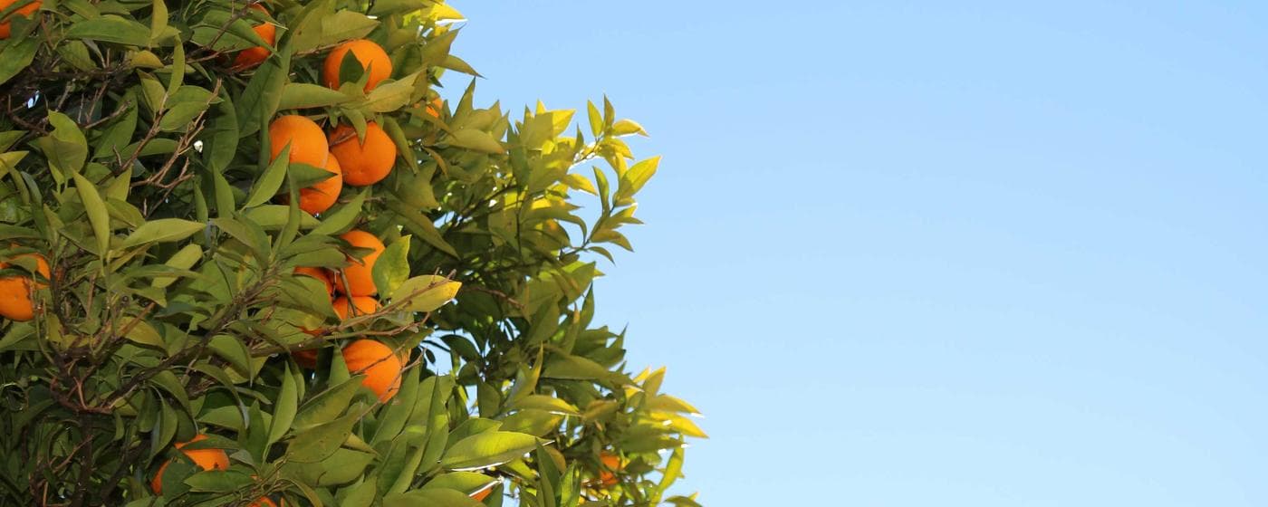 Funeral Homes in Purcell, Oklahoma: Services, Costs & Reviews (2026) hero image