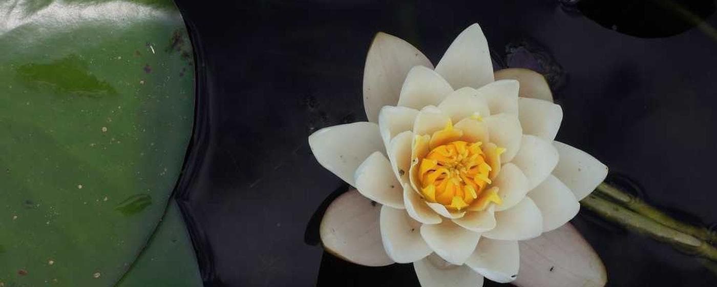 Funeral Homes in Riverhead, New York: Services, Costs & Reviews (2026) hero image