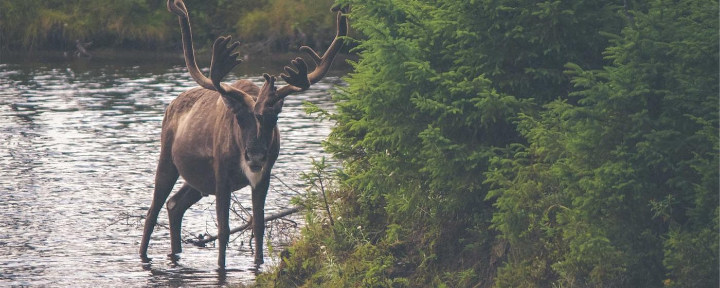 Funeral Homes in San Pedro, California: Services, Costs & Reviews (2026) hero image