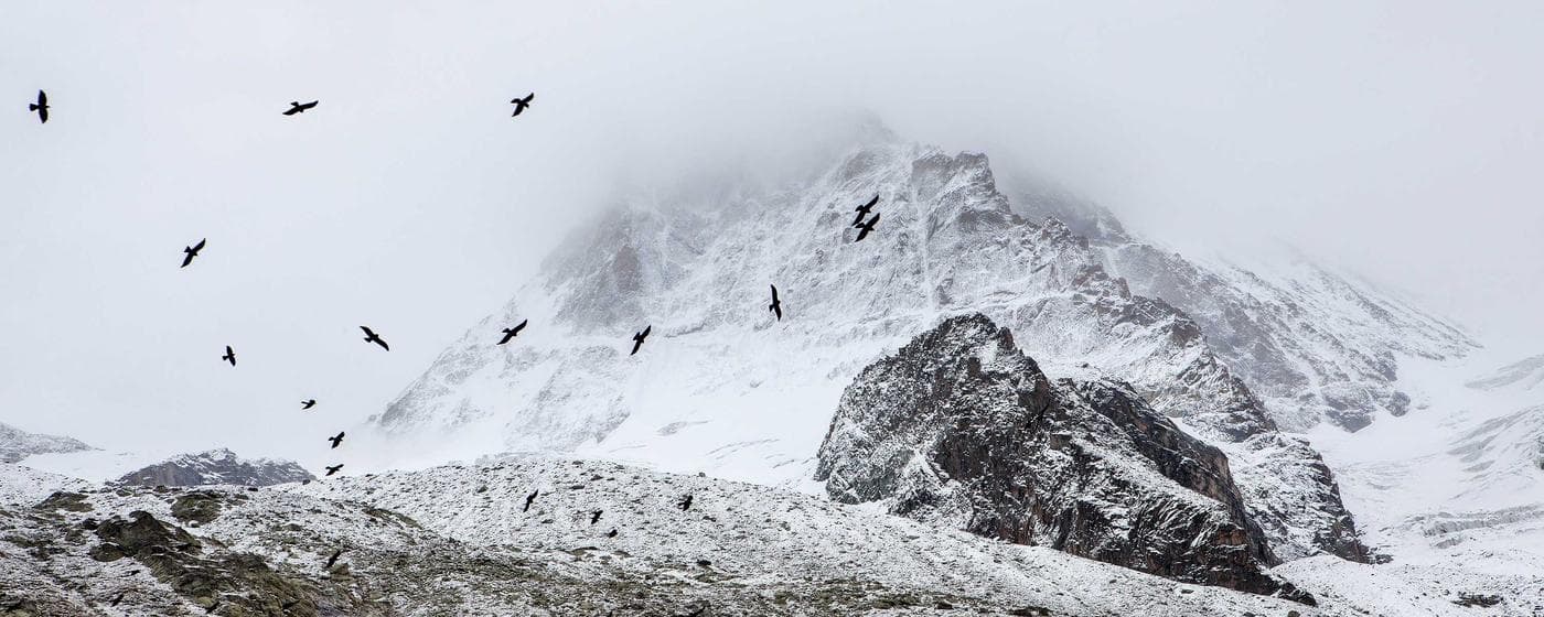 Funeral Homes in Sapulpa, Oklahoma: Services, Costs & Reviews (2026) hero image