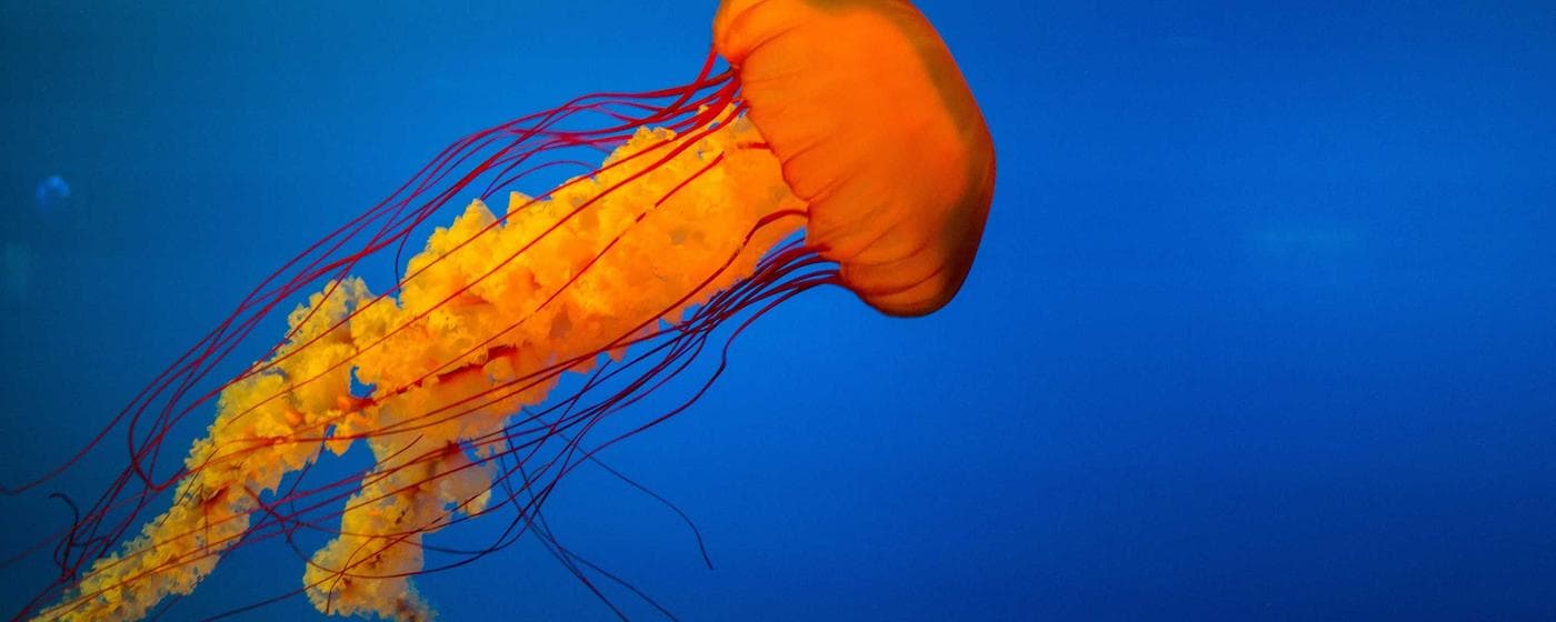 Funeral Homes in South Glens Falls, New York: Services, Costs & Reviews (2026) hero image