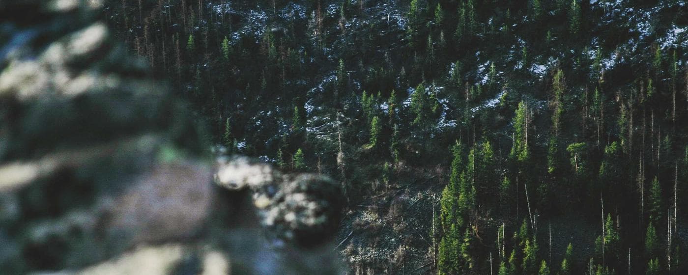 Funeral Homes in Weslaco, Texas: Services, Costs & Reviews (2026) hero image