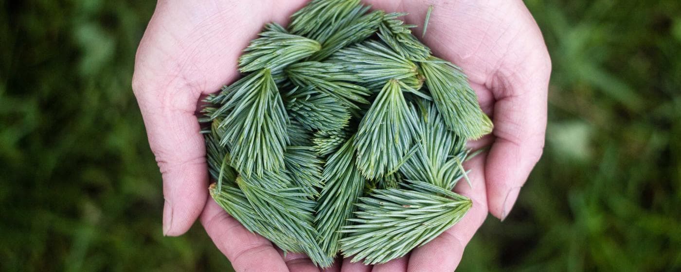 Funeral Homes in Yankton, South Dakota: Services, Costs & Reviews (2026) hero image