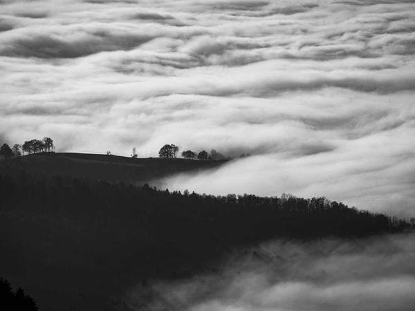 How to File for Probate in Colfax County, New Mexico