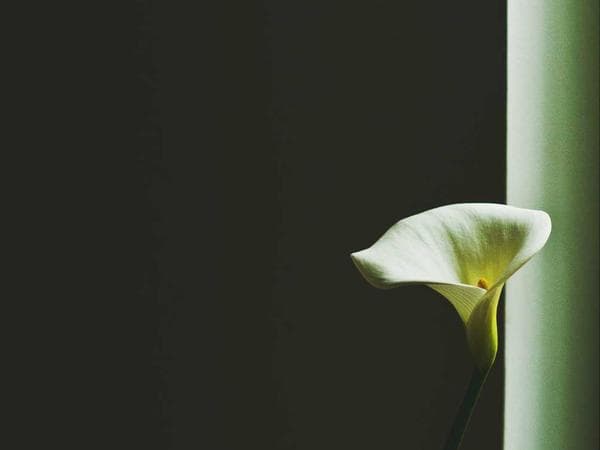 How to File for Probate in Stafford County, Virginia