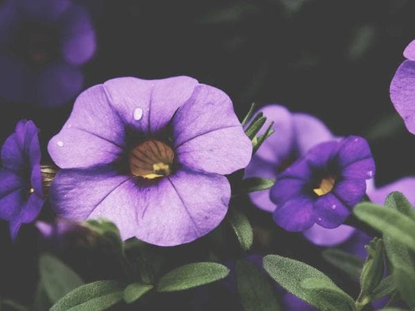 How to File for Probate in Sumter County, Georgia
