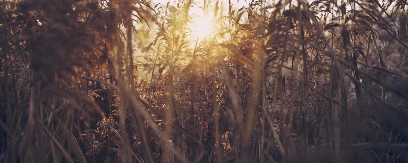 Probate Guide for Los Angeles County, California hero image