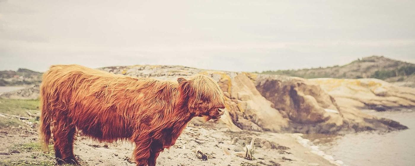 Miami-Dade County Probate Court: A Local Guide to Navigating the Process hero image