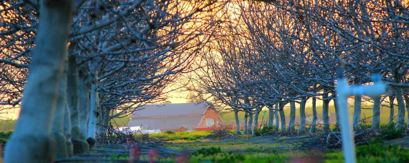 Mobile County Probate Court: Your Local Probate Guide hero image