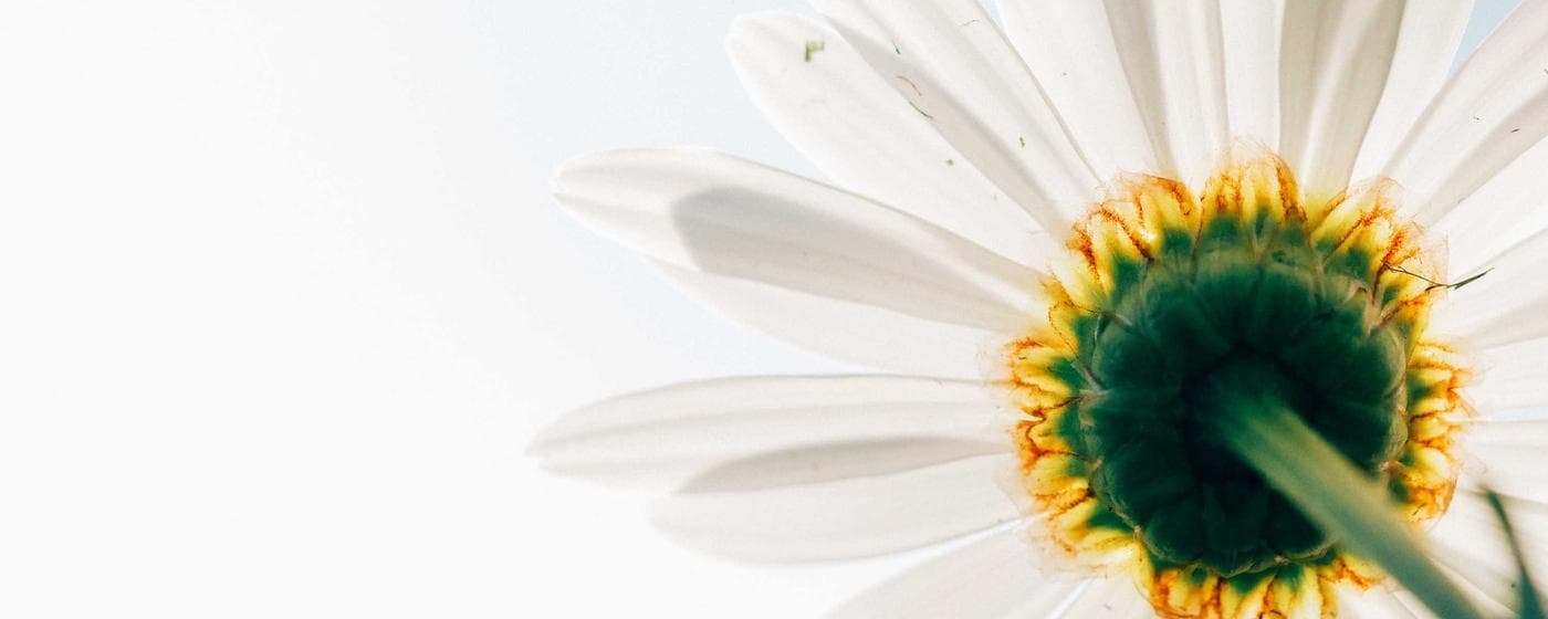 Pre-Planning Your Funeral: Benefits and Options hero image