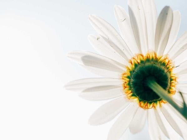 Pre-Planning Your Funeral: Benefits and Options