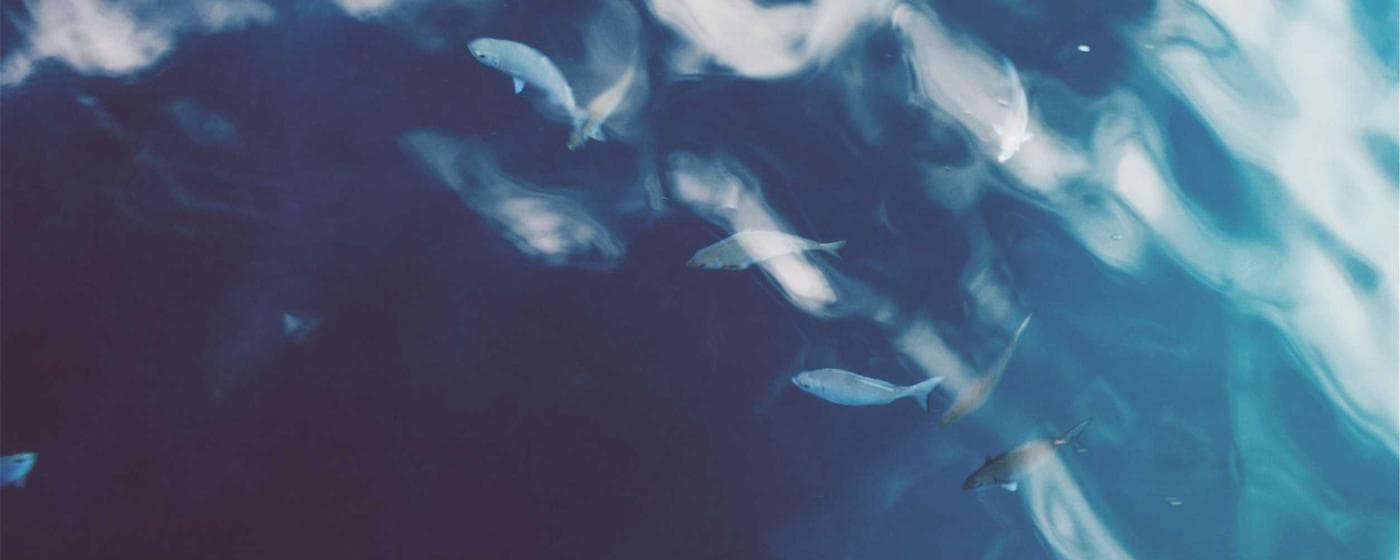 Macomb County, Michigan Probate Court: A Comprehensive Guide hero image