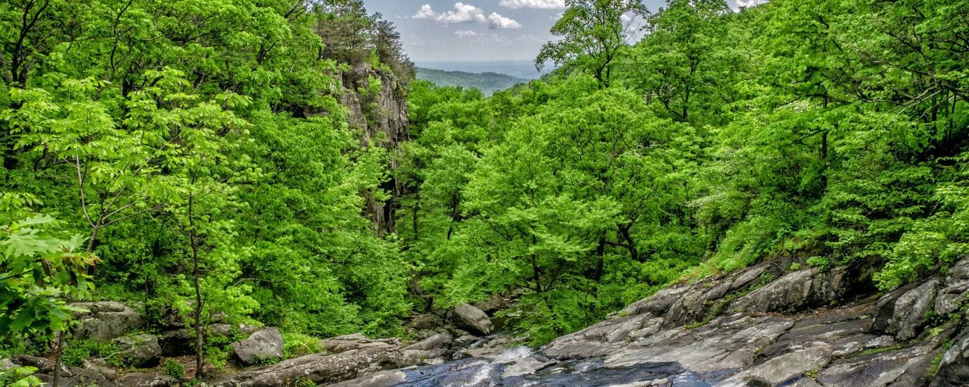 Stark County, Ohio Probate Court: A Local Guide hero image