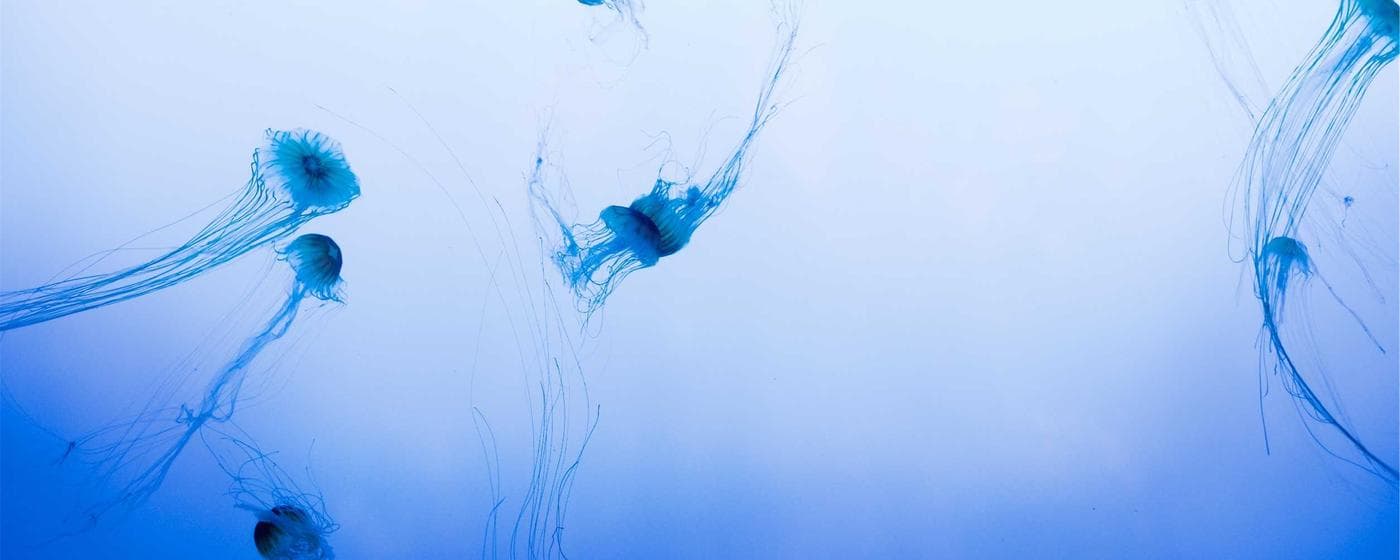 Trumbull County, Ohio Probate Court: A Comprehensive Guide hero image